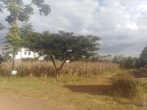 Mount Pleasant Heights stand for sale