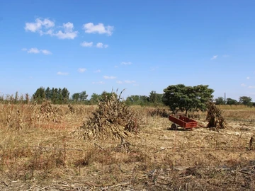 Farm & Agricultural Land