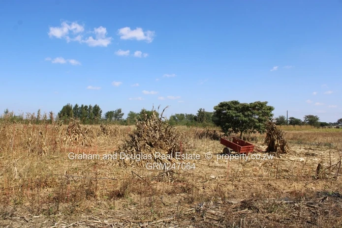 Kadoma Sabona bona plot for sale