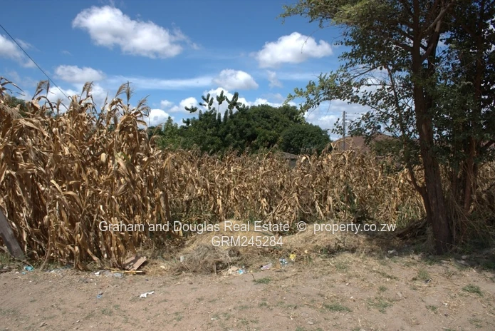 Zimre Park stand for sale