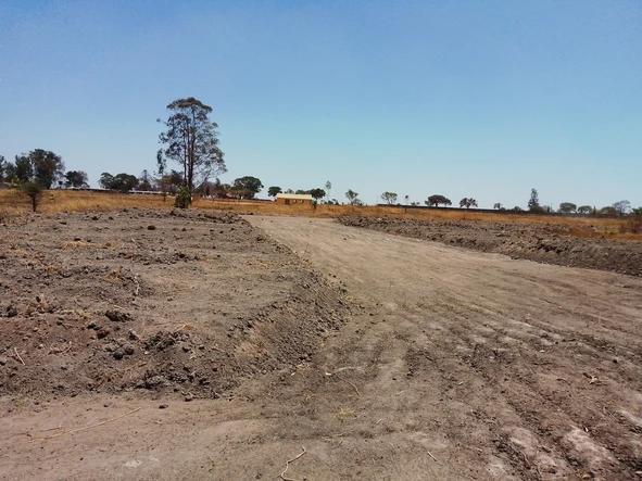 Stands & Residential Land