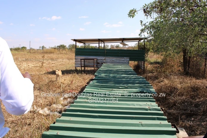 Kadoma Sabona bona plot for sale