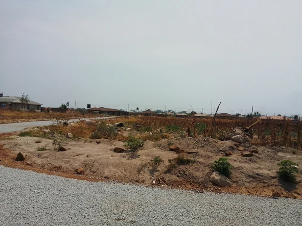 Stands & Residential Land