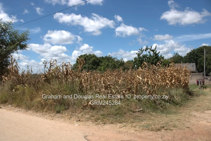 Zimre Park stand for sale